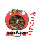 マイキーG3（個別スタンプ：3）