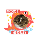 マイキーG3（個別スタンプ：7）