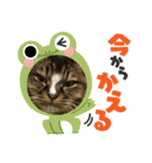 マイキーG3（個別スタンプ：8）