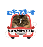 マイキーG3（個別スタンプ：10）