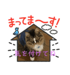 マイキーG3（個別スタンプ：15）