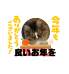 マイキーG3（個別スタンプ：16）