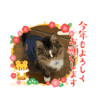 マイキーG3（個別スタンプ：20）