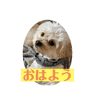 Robスタンプ【第2弾】（個別スタンプ：1）