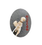 Robスタンプ【第2弾】（個別スタンプ：9）