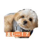 Robスタンプ【第2弾】（個別スタンプ：11）