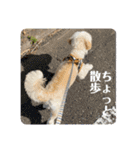 Robスタンプ【第2弾】（個別スタンプ：23）