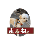 Robスタンプ【第2弾】（個別スタンプ：25）