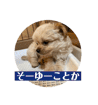Robスタンプ【第2弾】（個別スタンプ：33）