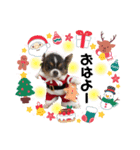 結ちゃん ④（個別スタンプ：1）