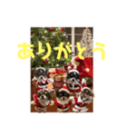 結ちゃん ④（個別スタンプ：5）