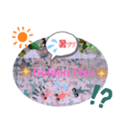 多頭飼いK-fam（個別スタンプ：6）