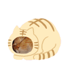茶々丸様だ！2（個別スタンプ：10）