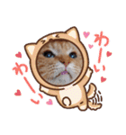 茶々丸様だ！2（個別スタンプ：12）