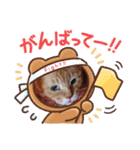 茶々丸様だ！2（個別スタンプ：15）