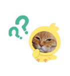 茶々丸様だ！2（個別スタンプ：16）