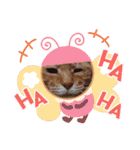 茶々丸様だ！2（個別スタンプ：19）