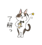 使いやすい☆猫好きのためのスタンプ（個別スタンプ：1）