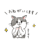 使いやすい☆猫好きのためのスタンプ（個別スタンプ：8）