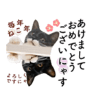 鍵しっぽ保護猫キーちゃん【ゆる敬語＋α】（個別スタンプ：9）