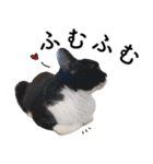 鍵しっぽ保護猫キーちゃん【ゆる敬語＋α】（個別スタンプ：27）