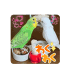 ゆきちゃん宅スタンプ20（個別スタンプ：1）