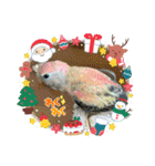 ゆきちゃん宅スタンプ20（個別スタンプ：2）