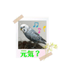 ゆきちゃん宅スタンプ20（個別スタンプ：7）