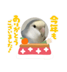 ゆきちゃん宅スタンプ20（個別スタンプ：19）