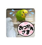 ゆきちゃん宅スタンプ20（個別スタンプ：23）