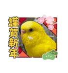 ゆきちゃん宅スタンプ20（個別スタンプ：24）