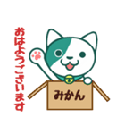 ロハにゃん（個別スタンプ：5）