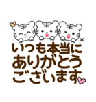 毎日使える♡白トラ【デカ文字】（個別スタンプ：16）