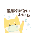 北欧柴犬の日常5  mush（個別スタンプ：25）