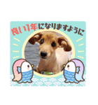 ぷりん2022（個別スタンプ：14）