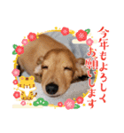 ぷりん2022（個別スタンプ：21）