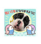 小豆芝＆フレブル2022.年賀（個別スタンプ：2）