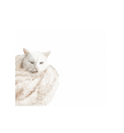 耐え忍ぶ白猫※冬（個別スタンプ：9）