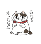 はなにゃスタンプ（個別スタンプ：23）