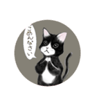 うさぎ ウサギ 兎 ねこ ネコ 猫（個別スタンプ：8）