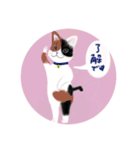 うさぎ ウサギ 兎 ねこ ネコ 猫（個別スタンプ：12）