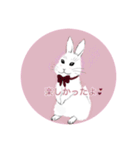 うさぎ ウサギ 兎 ねこ ネコ 猫（個別スタンプ：14）