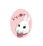 うさぎ ウサギ 兎 ねこ ネコ 猫（個別スタンプ：15）