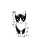 うさぎ ウサギ 兎 ねこ ネコ 猫（個別スタンプ：19）