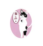うさぎ ウサギ 兎 ねこ ネコ 猫（個別スタンプ：20）