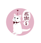 うさぎ ウサギ 兎 ねこ ネコ 猫（個別スタンプ：21）