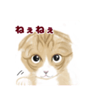 うさぎ ウサギ 兎 ねこ ネコ 猫（個別スタンプ：23）