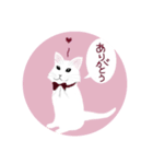 うさぎ ウサギ 兎 ねこ ネコ 猫（個別スタンプ：25）