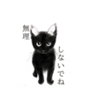 うさぎ ウサギ 兎 ねこ ネコ 猫（個別スタンプ：26）