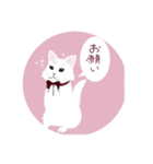 うさぎ ウサギ 兎 ねこ ネコ 猫（個別スタンプ：28）